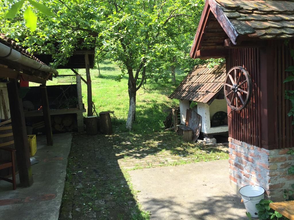 Country House Stoljetna Vila Seona Extérieur photo