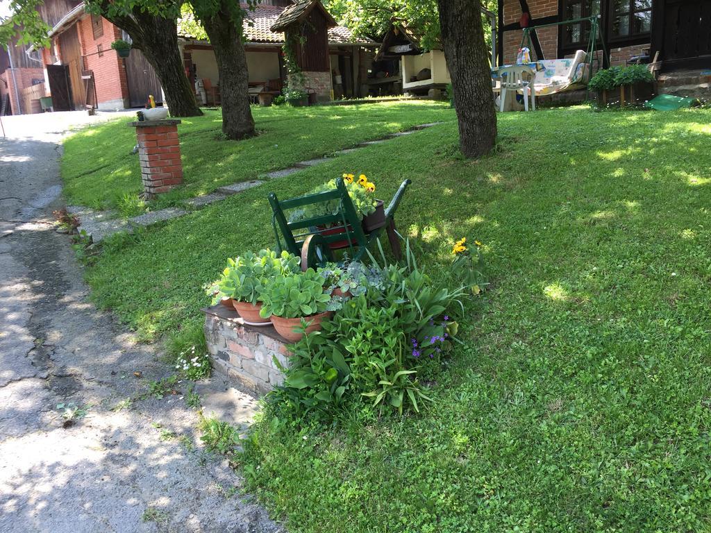 Country House Stoljetna Vila Seona Extérieur photo