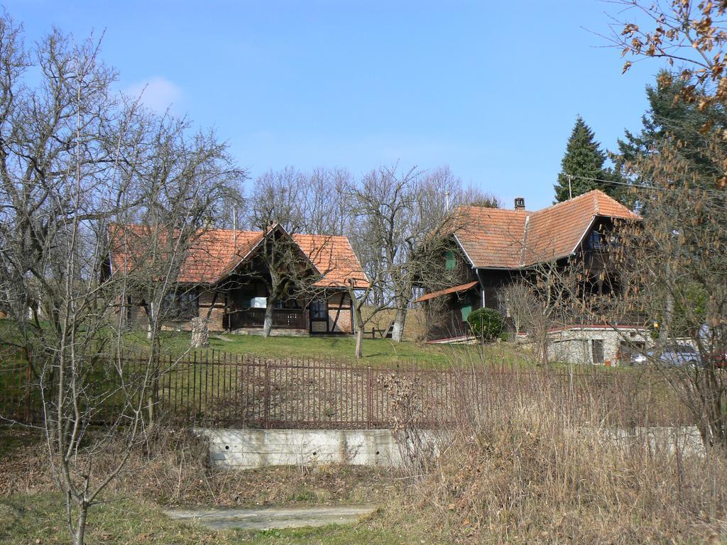Country House Stoljetna Vila Seona Extérieur photo
